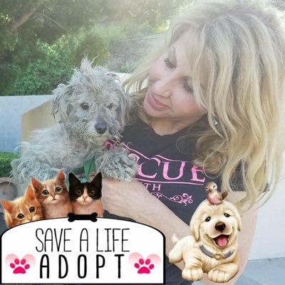 dreamfetchers's profile picture. Saving the broken abandoned and lost