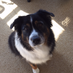 Deb Ramey (@ramey_deb) Twitter profile photo Deb Ramey (@ramey_deb) Twitter profile photo