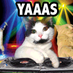 PurrMore13 (@felinegroovey3) Twitter profile photo PurrMore13 (@felinegroovey3) Twitter profile photo