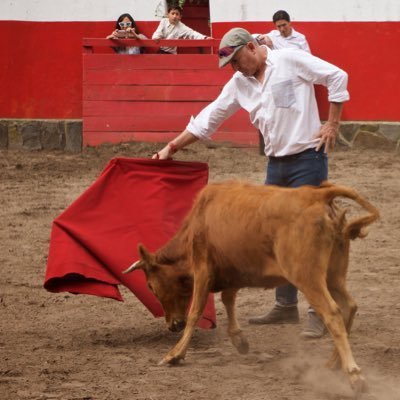 Anticomunista. Taurino. Sevillanas y Flamenco. Equitación en todas sus artes, bici de montaña. Detesto a los progres. Me encanta comer carne AUPA ATLETI