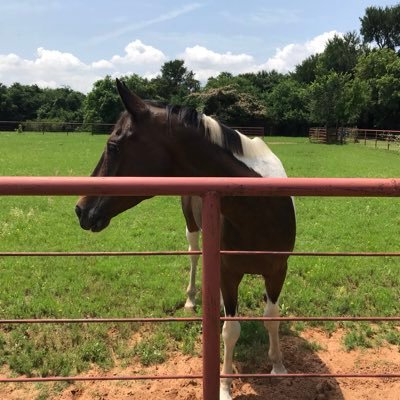 MoonGrammy's profile picture. 