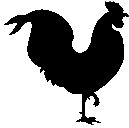 Cale Jensen - @xxxcalexxx - Twitter