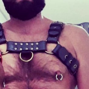 Pierced Bearded Hairy and always Horny Gay Man ! Nape, Nipples 7mm, Frenum 3mm and a Prince Albert 12mm !Português, English, Espanõl. Let’s have fun !