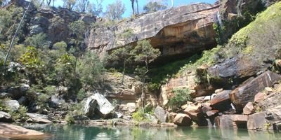 Knowthy49152798's profile picture. lived thru the impossible