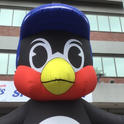 プロ野球、ヤクルト 大好き。Hawaii大好き。BBA⚪︎⚪︎外科医。いつまで経っても大切うちの子ら、中高一貫・医学部受験 再受験、医師国試・専門医試験受験、WM、ARBR、パラスポーツ、闘病中の方やご家族の方みんなの応燕団。応燕したくなった方の無言フォローお許しください。