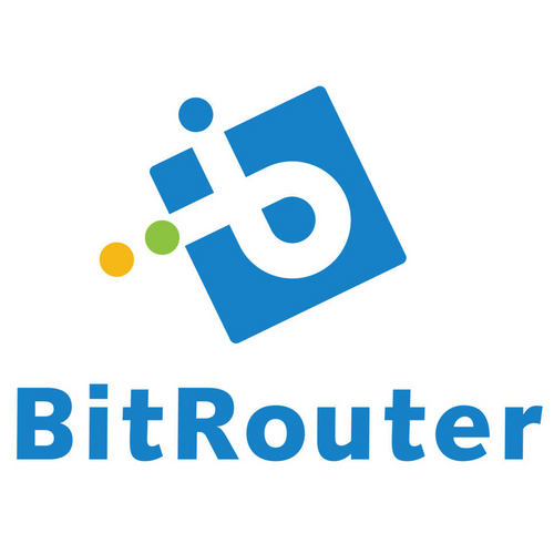 BitRouter Profile