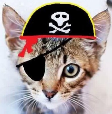 Just your friendly neighbourhood pirate.  I post a lot about US politics, but I'm Cdn. Very punny. If I follow you, it's not just bc you're on some damn list.