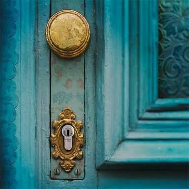 SofiaIvelleChu1's profile picture. White chocolate with rasberries.
Or Dark chocolate with orange peelings. I don't car which I'm easy that way.