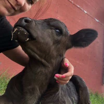 crazy_redneck1's profile picture. Living the dream loving life mom of 2 kids happily married