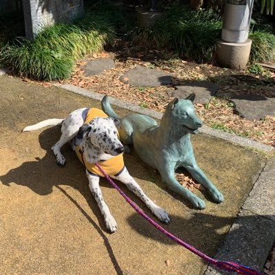 Pikatta2's profile picture. Nice to meet you