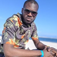 Adavize Alao (@adavizealao) 's Twitter Profile
