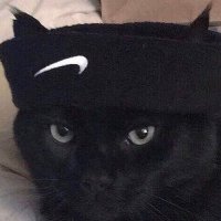 2905m (@97kmmm) 's Twitter Profile