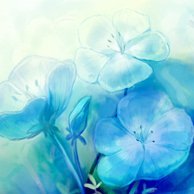 遠野さんのプロフィール画像