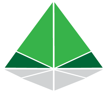 NewsTekToday's profile picture. An online platform for sharing technology news and updates
