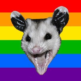 Jess | They/She | ❤🧡💛 @makiiat0 💚💙💜 | Trash Animal Supreme | 🏳️🌈 | 🔞