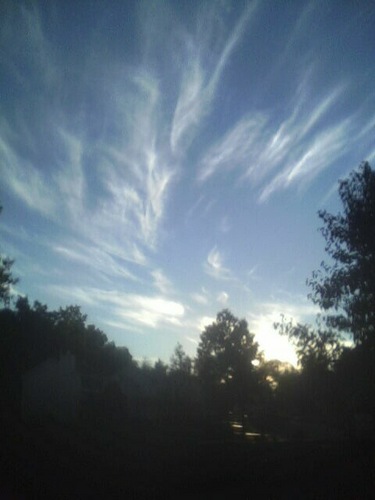 JUSTWHOIAM1X's profile picture. Believer of new beginnings!