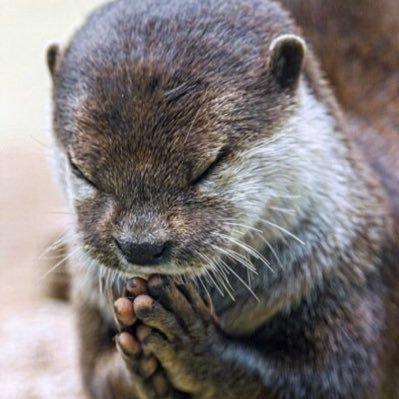 0hd37C5hgkLt8's profile picture. LiSAっ子「今日もいい日だっ」LiSA フォロバ記念日✴︎2018.2.27✴︎