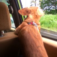 西野滉城 (@nishihiro_judo) Twitter profile photo