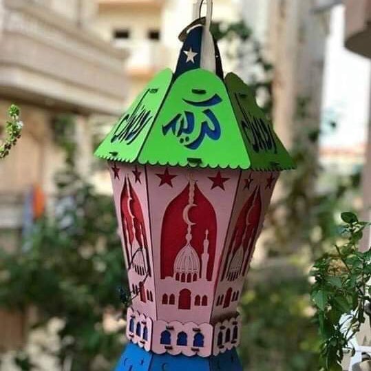 wils_net2000's profile picture. 