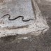 @python_saito