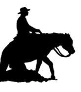 Promoting the art of reining locally, regionally, and nationally, by providing venues for professional and non-pro reiners and their performance horses.