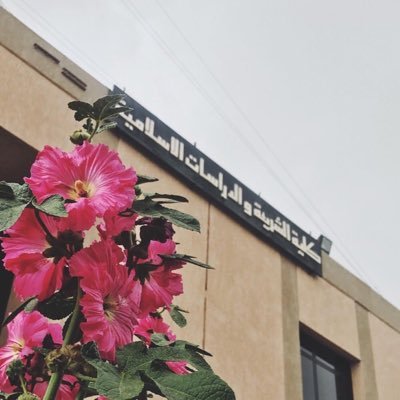 alamaira_'s profile picture. ✨كلية الشريعة، الفقة وأصوله ⚖️✨ (تَوَفَّنِي مُسْلِمًا وَأَلْحِقْنِي بِالصَّالِحِينَ)