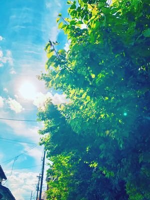 703maru0814's profile picture. 繰り返される　無償の愛情
揺らぐことのない　信じ抜く力を
願ったキセキは
いつか形を変えては
希望という名の道となり…

Da-iCEと出会って人生に彩りをもらいました
かなりの大人6面ですがよろしくお願いします
(時々Da-iCE以外も気にしてます^⁠_⁠^）

from NAGANO　formerPT