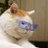 saehayan7's profile image