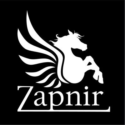 Zapnirさんのプロフィール画像