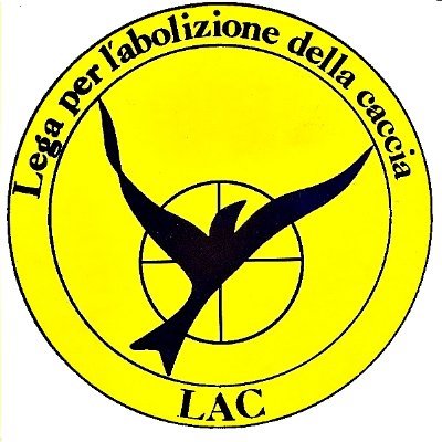 Lactnaa's profile picture. 