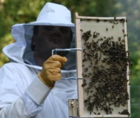 Helping people get started beekeeping. 
Visit: 
http://t.co/DYgL7vTIEp