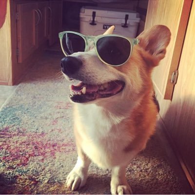 lnbisson's profile picture. Nomad and ex-marine biologist