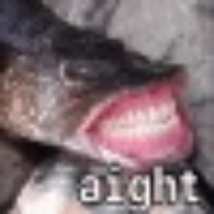 LizardusCS's profile picture. 