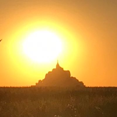 Catsharkeen's profile picture. Just an opinion.