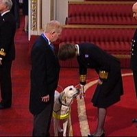 Scott Cunningham MBE (@s_cunningham9) 's Twitter Profile Photo Scott Cunningham MBE (@s_cunningham9) 's Twitter Profile Photo