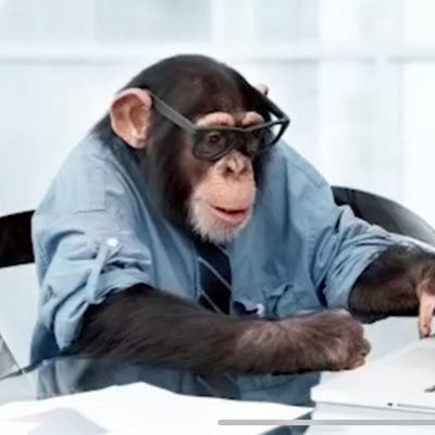 XavierCrespo20's profile picture. I’m a smart monkey