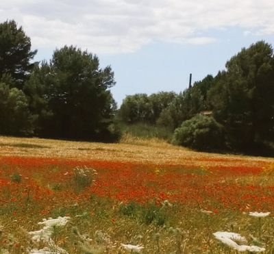 barbaratq_tomas's profile picture. Partido +&-50 años 
Por nuestros derechos, nuestros hijos y nuestros nietos