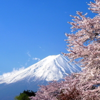 懐かしい日本語、後世に残したい日本語……日本人が長い年月をかけてはぐくんできた美しいことばに、適宜文学作品などからの用例も合わせて、毎日ツイートします。