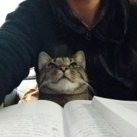 Anne Pasek (@aepasek) 's Twitter Profile Photo Anne Pasek (@aepasek) 's Twitter Profile Photo