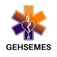 GEHSEMES(@gehsemes) 's Twitter Profile Photo