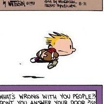 I identified with Hobbes not the crazy kid. Well part of the time.