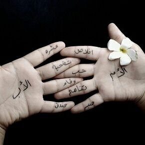 alshujaa32's profile picture. (وما توفيقي إلى بالله )