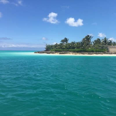 egoroll's profile picture. №1 ℮⅁Ϭ℟Ϭ‖ Software shepherd and wannabe Single-hander.