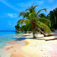 Reisedirekt Europa (@reisedirekteu) Twitter profile photo