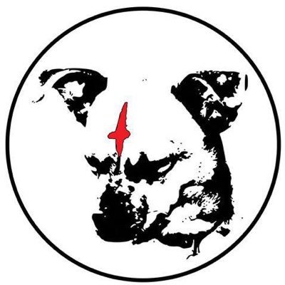 RussianGFs's profile picture. 2014-2023