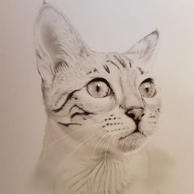 I draw portraits of people and pets and things. Commissions welcome.