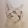 AlexanderDev70's profile picture. I draw portraits of people and pets and things. Commissions welcome.