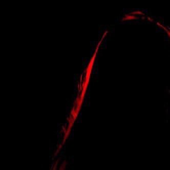 sarcastichaos's profile picture. ⠀you 𝖍𝖆𝖛𝖊 𝖊𝖞𝖊𝖘 my dear but you 𝖈𝖆𝖓𝖓𝖔𝖙 𝖘𝖊𝖊.