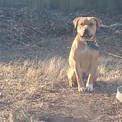 GarrettQuinta's profile picture. 