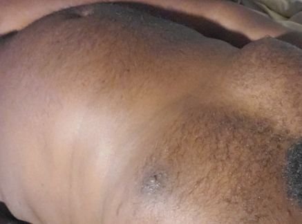 bearlyherebro's profile picture. 